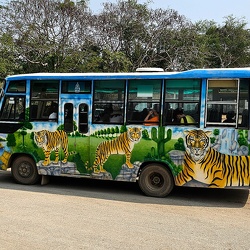 2024『Kanchanaburi Safari Park』