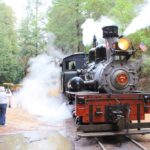 我也是鐵道迷之Redwood Forest Steam Train