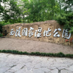 杭州西溪濕地公園一日遊